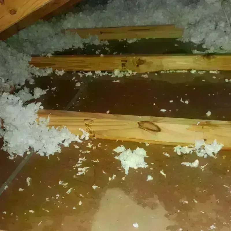 Attic Water Damage in Checotah, OK