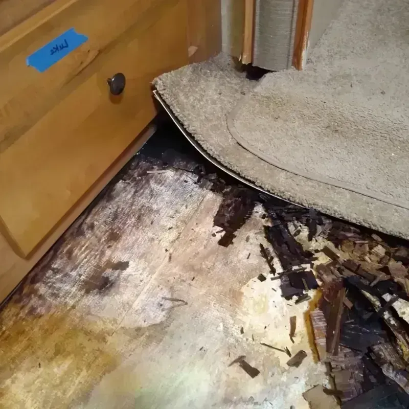 Wood Floor Water Damage in Checotah, OK